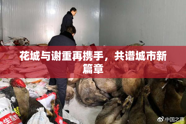 花城与谢重再携手，共谱城市新篇章