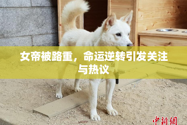 女帝被路重，命运逆转引发关注与热议