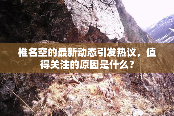 椎名空的最新动态引发热议，值得关注的原因是什么？