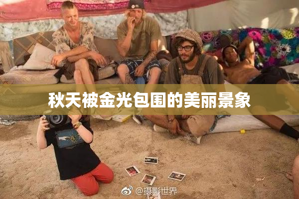 秋天被金光包围的美丽景象