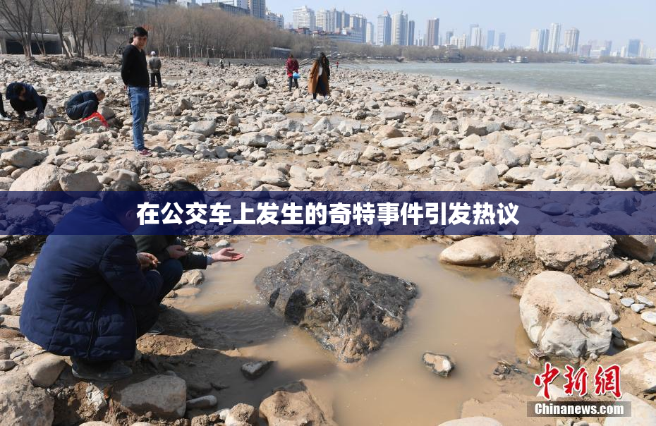 在公交车上发生的奇特事件引发热议