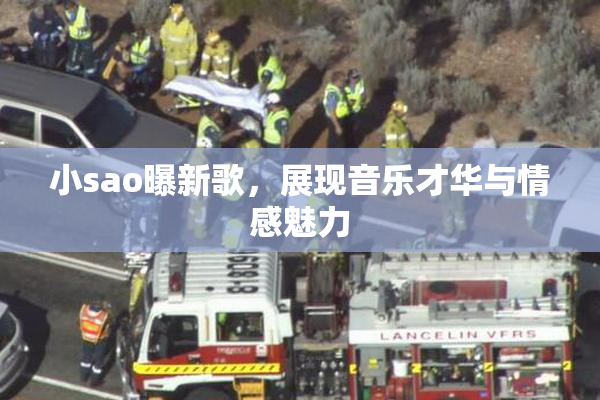 小sao曝新歌，展现音乐才华与情感魅力