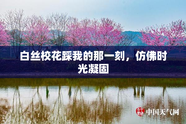 白丝校花踩我的那一刻，仿佛时光凝固