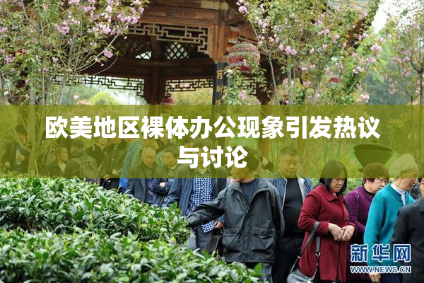 欧美地区裸体办公现象引发热议与讨论