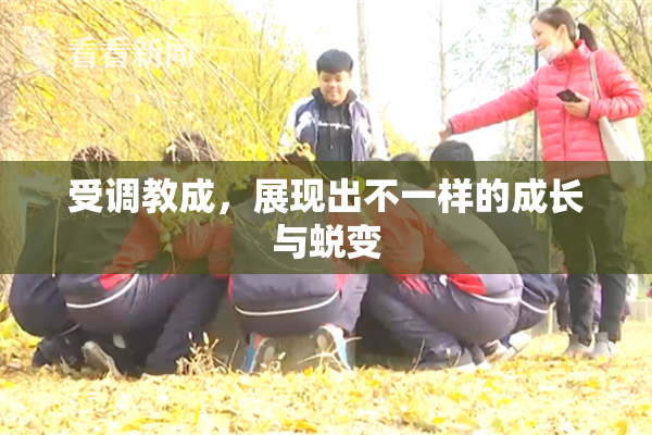 受调教成，展现出不一样的成长与蜕变