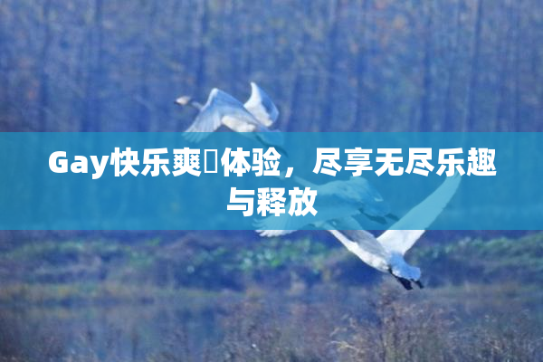 Gay快乐爽擼体验，尽享无尽乐趣与释放