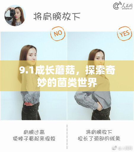 9.1成长蘑菇，探索奇妙的菌类世界