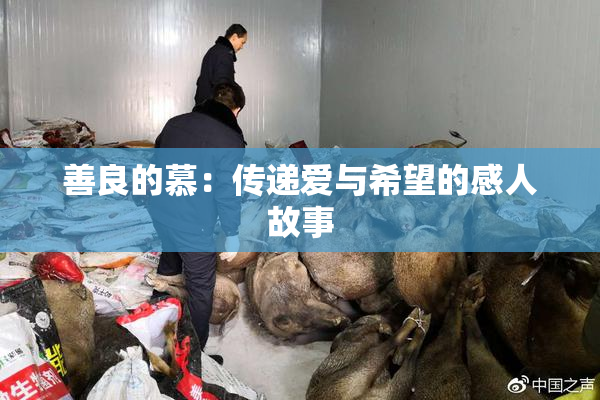 善良的慕：传递爱与希望的感人故事