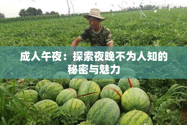 成人午夜：探索夜晚不为人知的秘密与魅力
