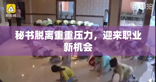 秘书脱离重重压力，迎来职业新机会