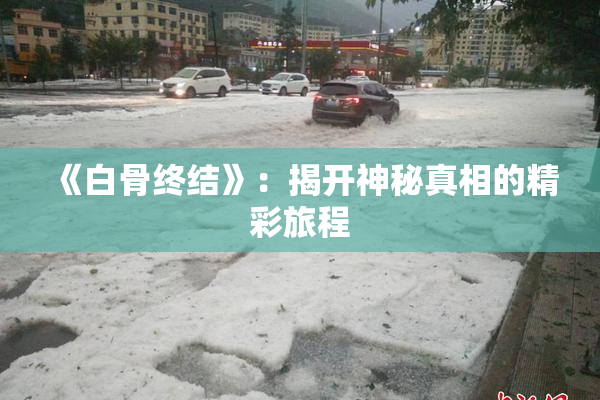 《白骨终结》：揭开神秘真相的精彩旅程