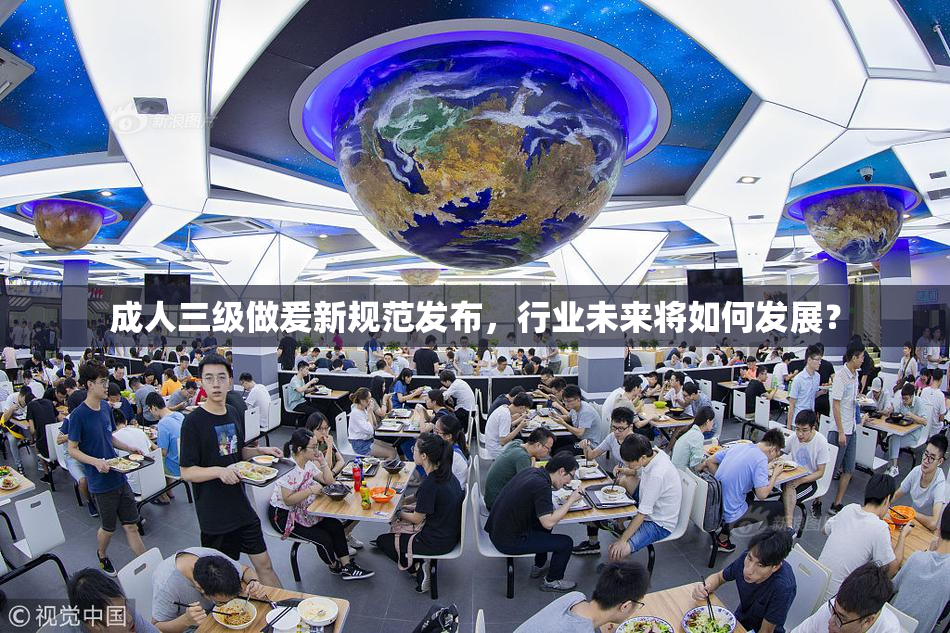 成人三级做爰新规范发布，行业未来将如何发展？
