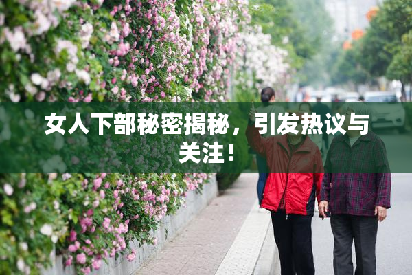 女人下部秘密揭秘，引发热议与关注！