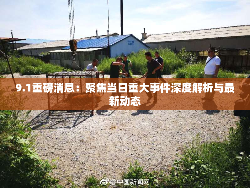 9.1重磅消息：聚焦当日重大事件深度解析与最新动态