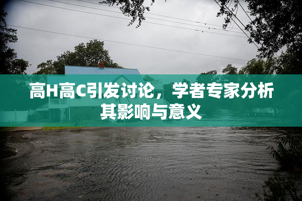 高H高C引发讨论，学者专家分析其影响与意义