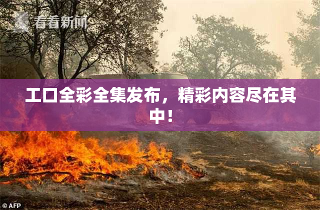 工口全彩全集发布，精彩内容尽在其中！