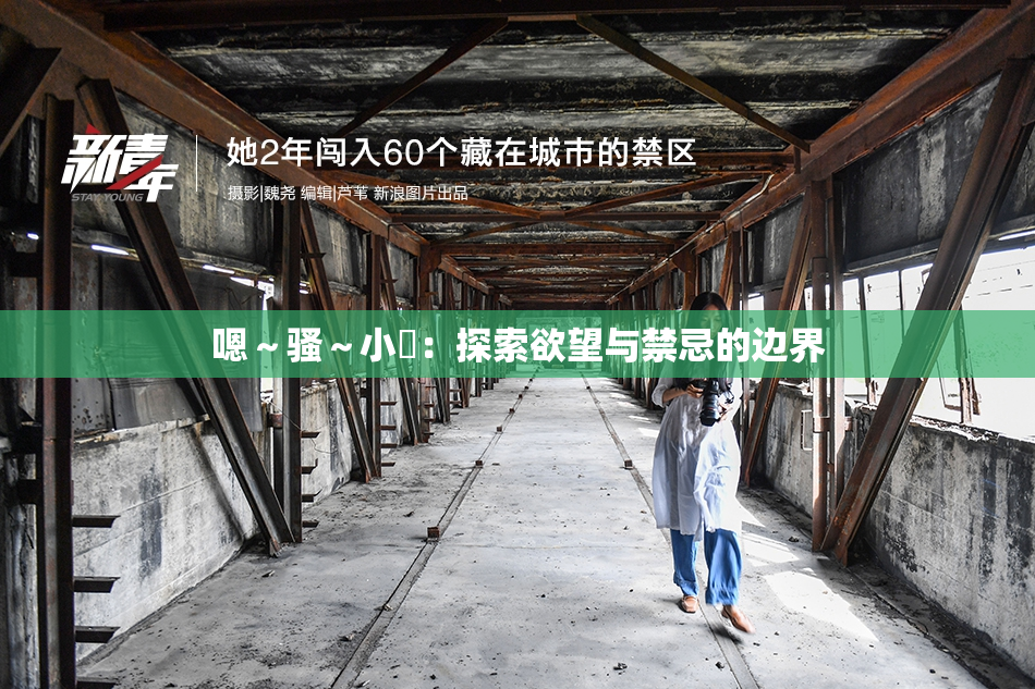 嗯～骚～小婬：探索欲望与禁忌的边界