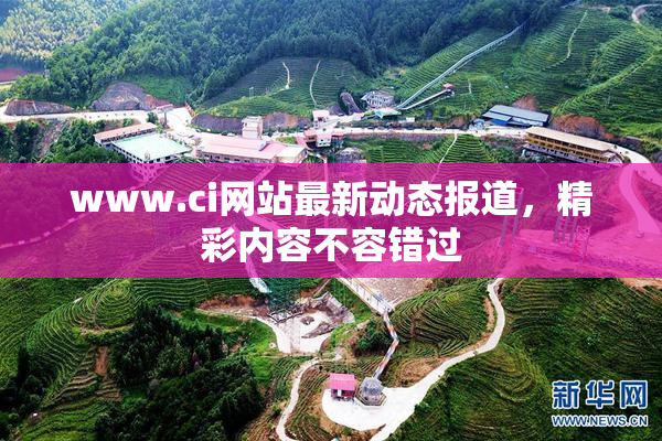 www.ci网站最新动态报道，精彩内容不容错过