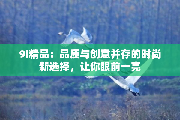 9I精品：品质与创意并存的时尚新选择，让你眼前一亮