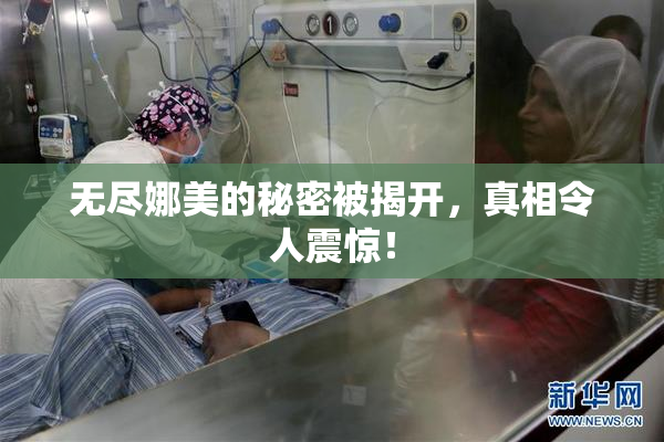 无尽娜美的秘密被揭开，真相令人震惊！
