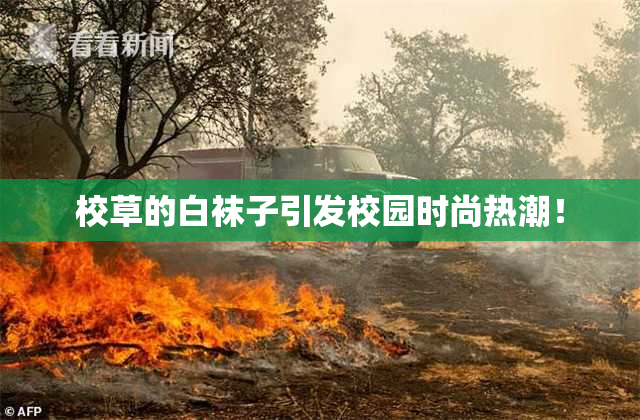 校草的白袜子引发校园时尚热潮！