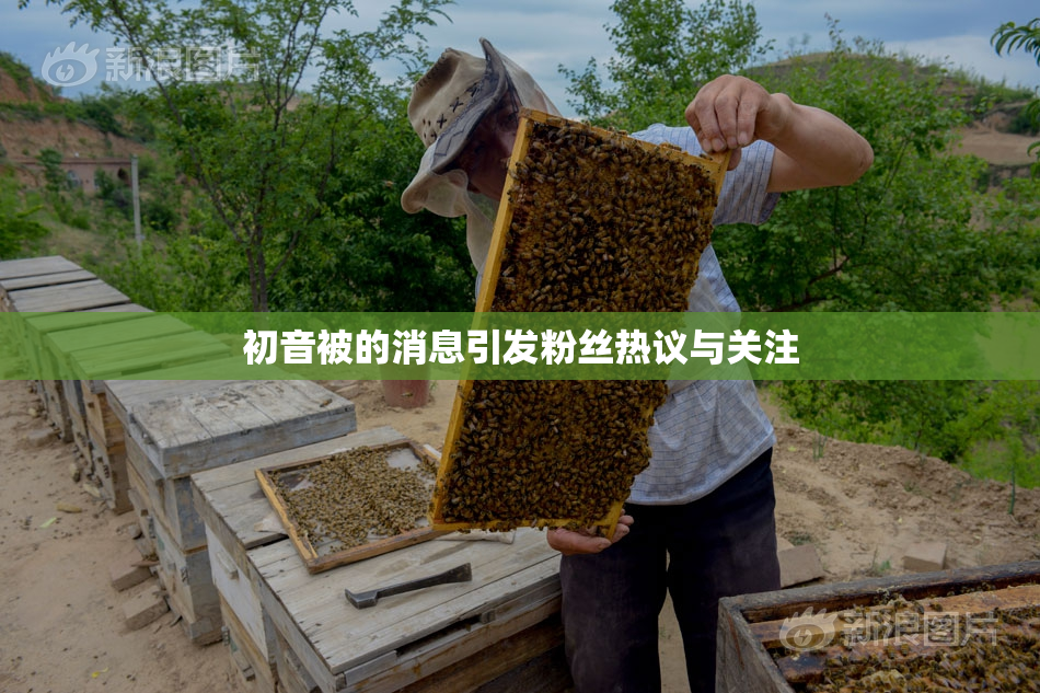 初音被的消息引发粉丝热议与关注