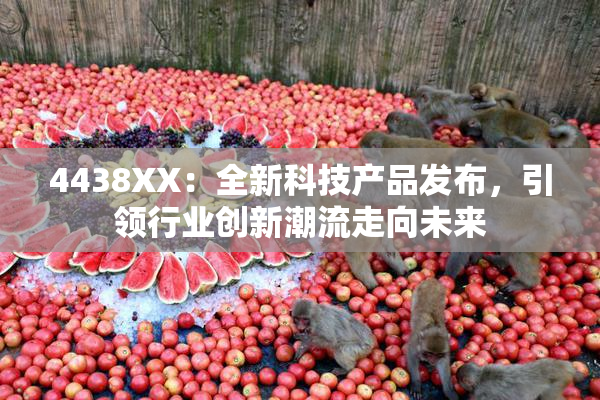 4438XX：全新科技产品发布，引领行业创新潮流走向未来