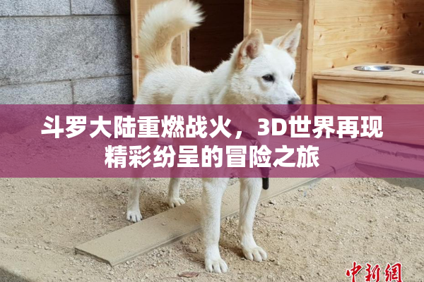 斗罗大陆重燃战火，3D世界再现精彩纷呈的冒险之旅