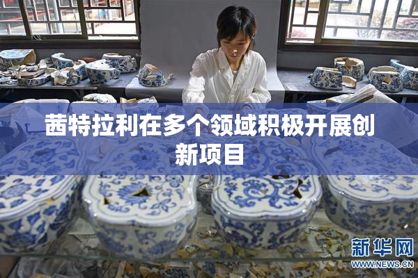 茜特拉利在多个领域积极开展创新项目
