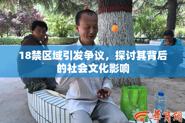 18禁区域引发争议，探讨其背后的社会文化影响