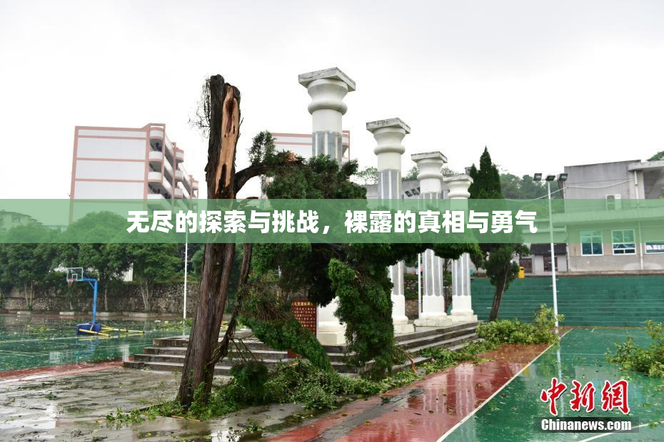 无尽的探索与挑战，裸露的真相与勇气
