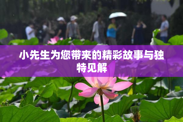 小先生为您带来的精彩故事与独特见解