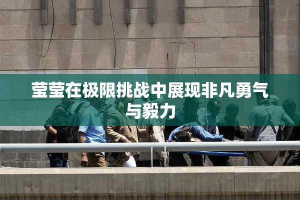 莹莹在极限挑战中展现非凡勇气与毅力
