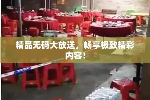 精品无码大放送，畅享极致精彩内容！