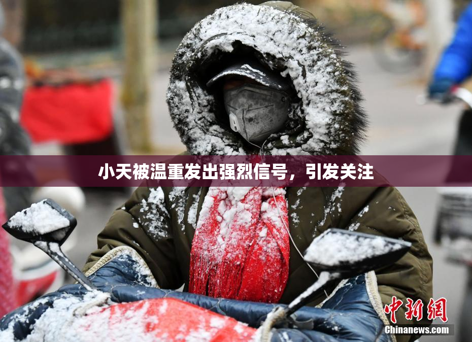 小天被温重发出强烈信号，引发关注