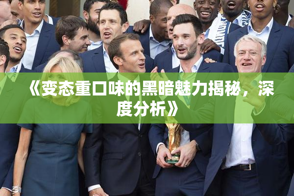 《变态重口味的黑暗魅力揭秘，深度分析》