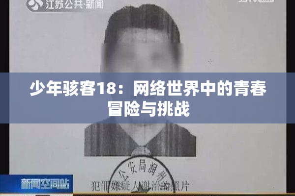少年骇客18：网络世界中的青春冒险与挑战