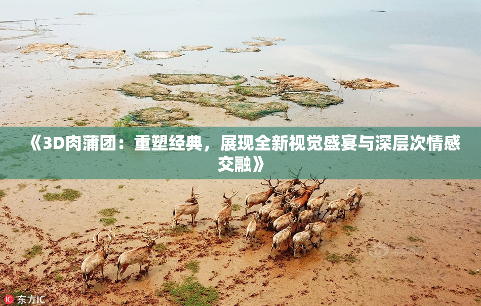《3D肉蒲团：重塑经典，展现全新视觉盛宴与深层次情感交融》