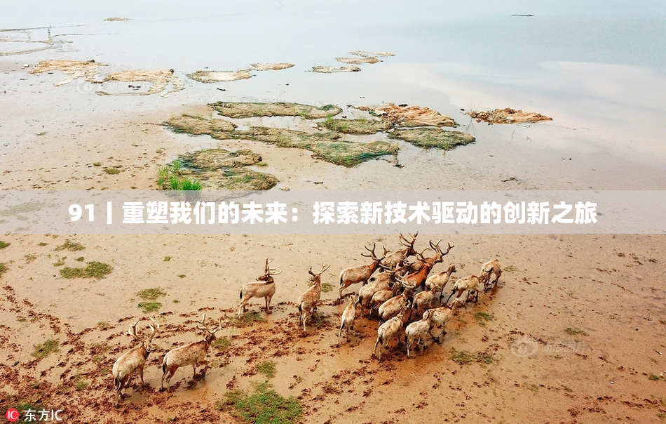 91丨重塑我们的未来：探索新技术驱动的创新之旅