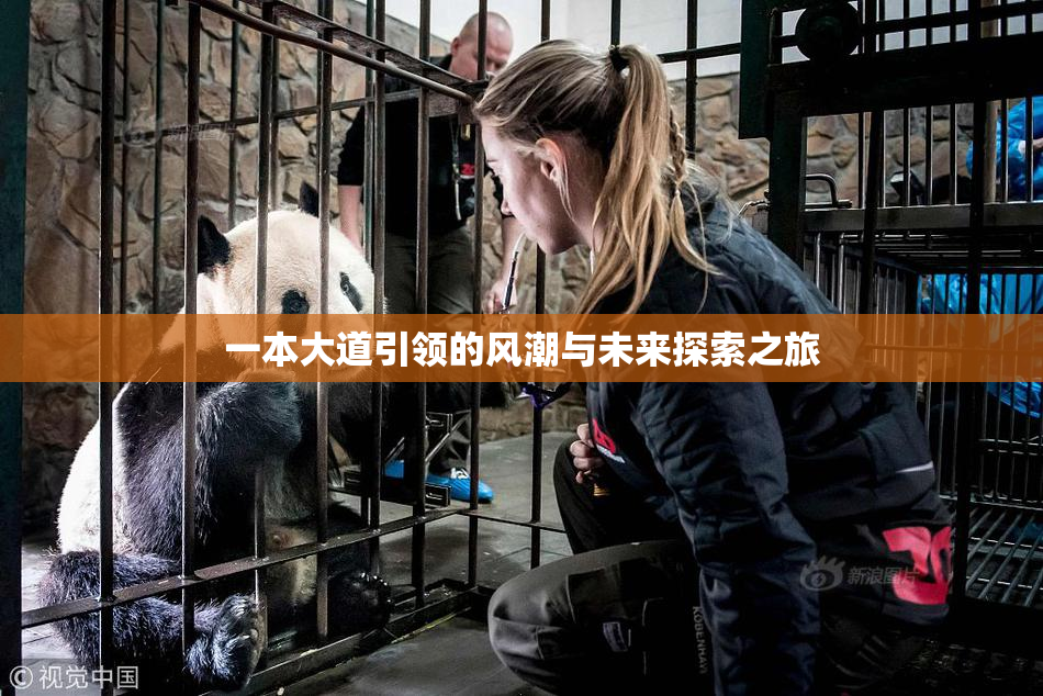 一本大道引领的风潮与未来探索之旅