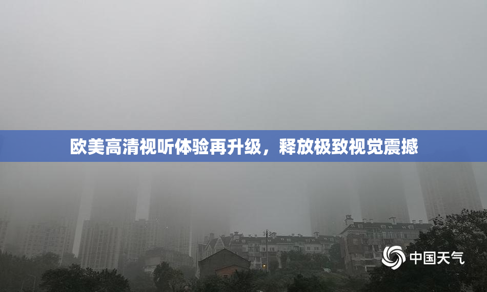 欧美高清视听体验再升级，释放极致视觉震撼