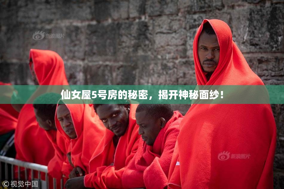 仙女屋5号房的秘密，揭开神秘面纱！