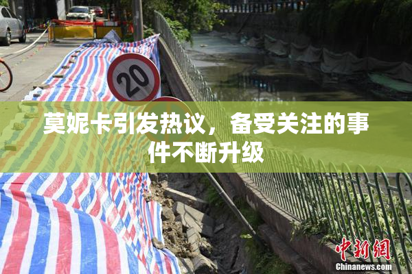 莫妮卡引发热议，备受关注的事件不断升级