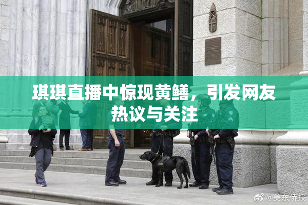 琪琪直播中惊现黄鳝，引发网友热议与关注