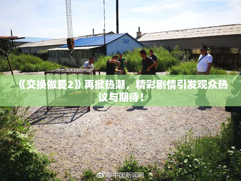 《交换做爰2》再掀热潮，精彩剧情引发观众热议与期待！