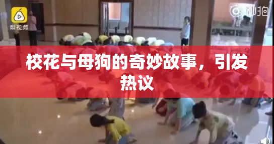 校花与母狗的奇妙故事，引发热议