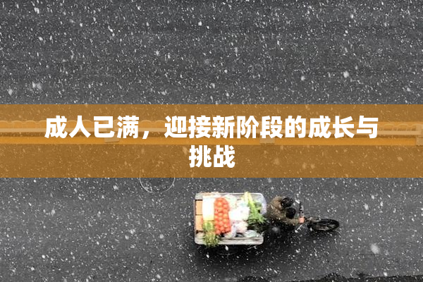 成人已满，迎接新阶段的成长与挑战
