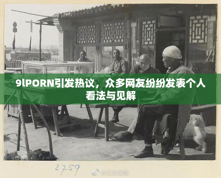 9lPORN引发热议，众多网友纷纷发表个人看法与见解