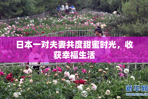 日本一对夫妻共度甜蜜时光，收获幸福生活
