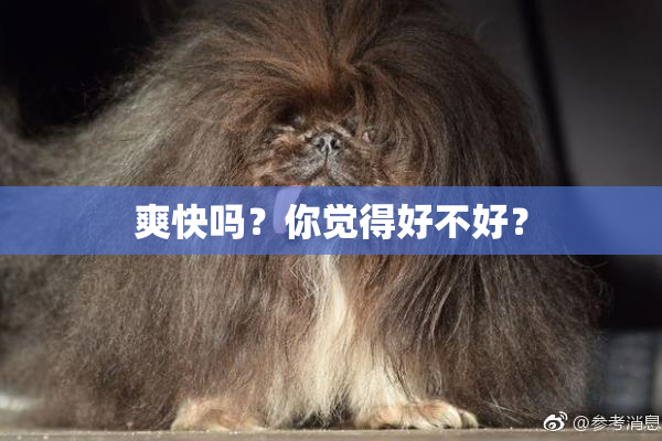 爽快吗？你觉得好不好？
